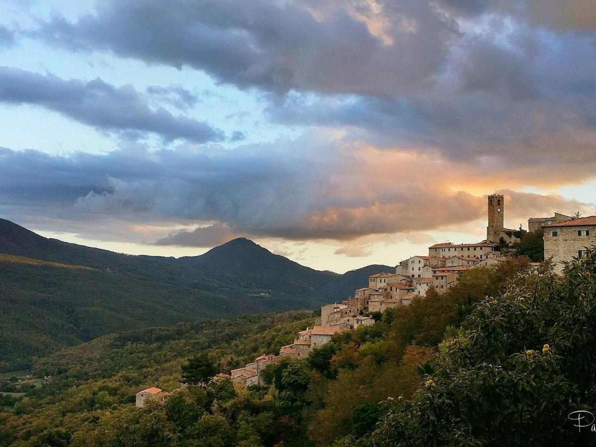 Atmospheric Apartment In Authentic House Near Beautiful Sasso Pisano 외부 사진